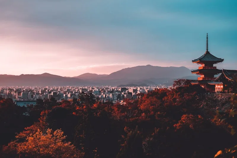 京都賞楓